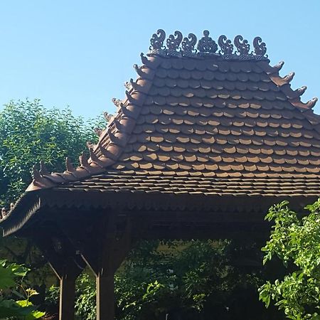 Hotel Pas Birute Kowno Zewnętrze zdjęcie